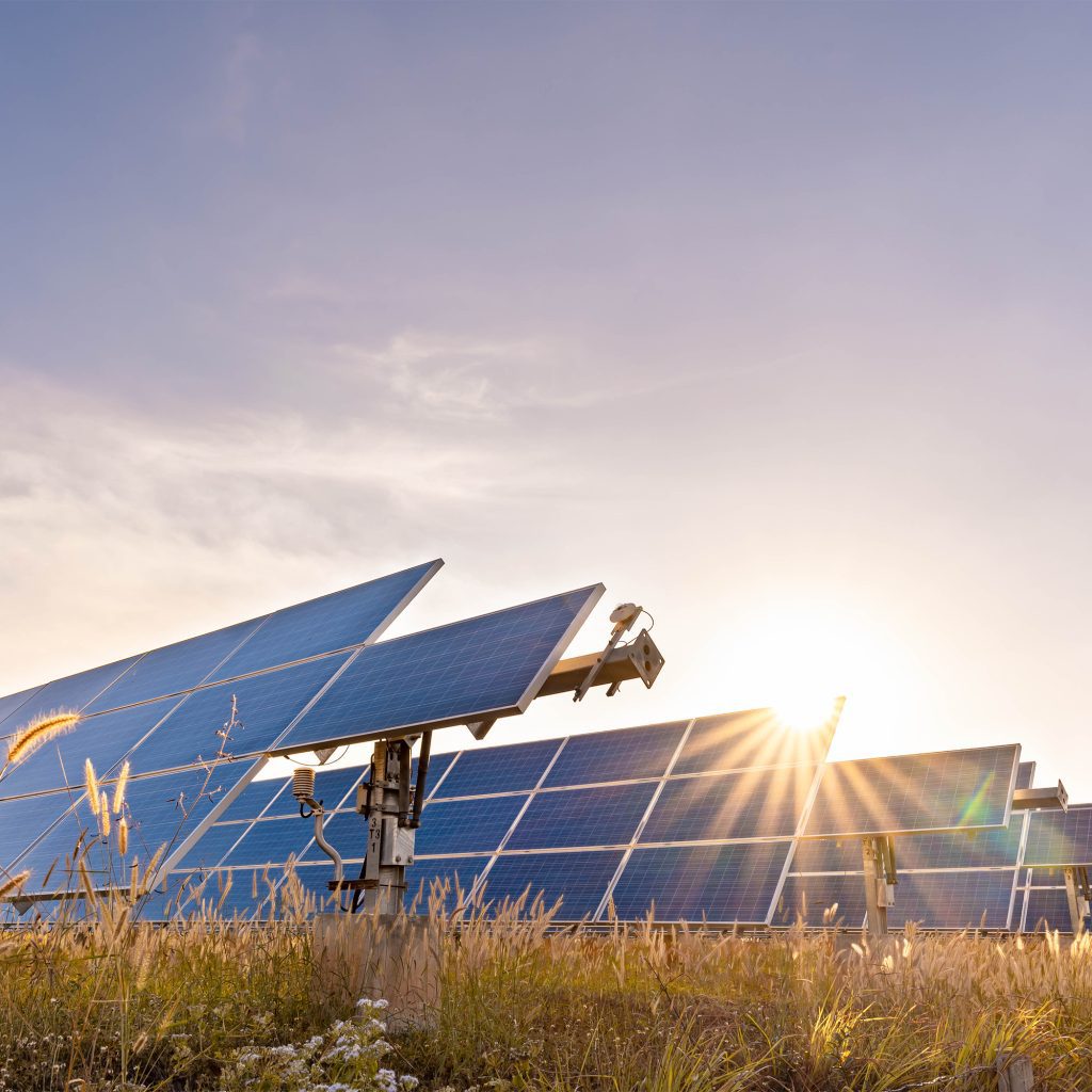 mapperxgunespanelleri