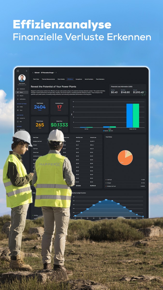 effizienzanalyse finanzielle verluste erkennen@2x 100 675x1200